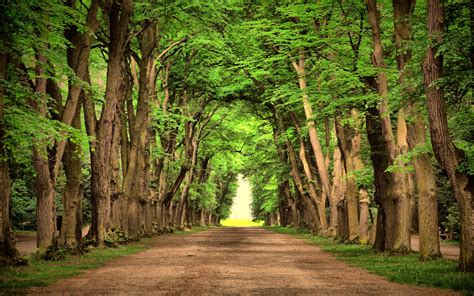 Nature Road Wallpapers Top Free Nature Road Backgrounds Wallpaperaccess