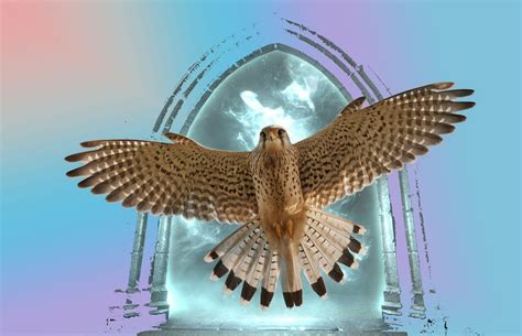 ArtStation - Сокол