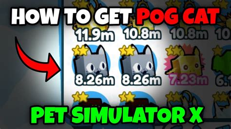 HOW TO GET POG CAT IN PET SIMULATOR X SUPER EASY YouTube