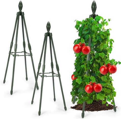 Apsoonsell Garden Trellis For Climbing Plants Indoor Metal Obelisk Trellis For