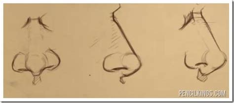 Best How To Draw A Nose From The Side Don T Miss Out Drawpen1