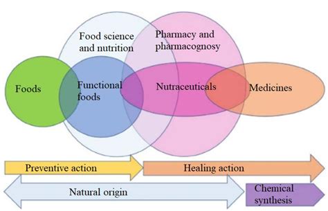 Stakeholder Relationships For The Study And Development Of Functional