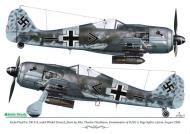 Asisbiz Focke Wulf Fw 190A6 4 SG2 White 2 WNr 550503 Scrapped