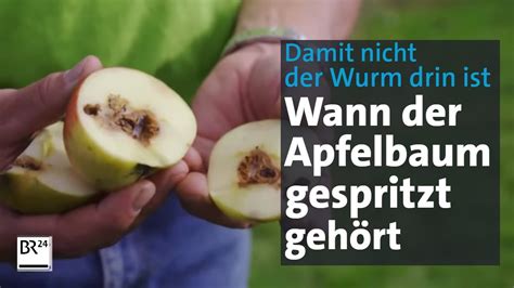 Äpfel mit 37 Spritzmittel Moderner Pflanzenschutz beim Obstanbau