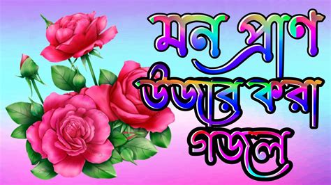 মযব কনঠ গজল আম যদন যব মর ami jedin jabo mara gojol