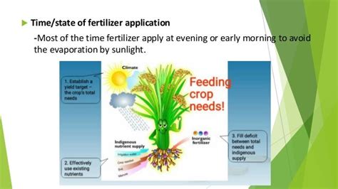 Practices To Be Adapted To Improve Fertilizer Use Efficiency In Rice