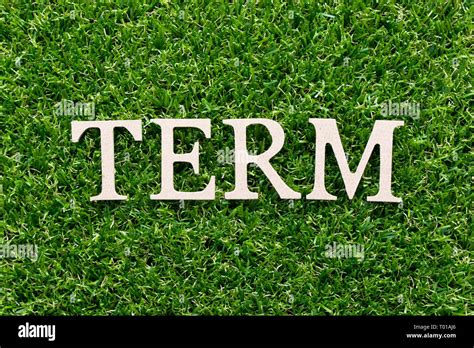 wood alphabet  word term  artificial green grass background stock
