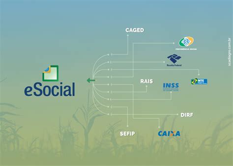 Esocial Para Produtor Rural Entenda O Que Como Funciona E Sua