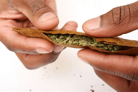 Are There Health Risks When Smoking Blunts Leafy Doc