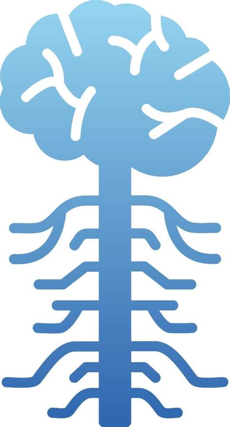 nervous system glyph gradient icon  vector art  vecteezy