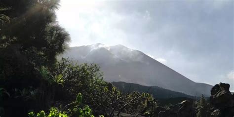 Ein Jahr Nach Vulkanausbruch Auf La Palma Noch Viele Probleme