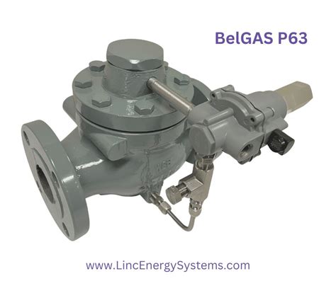 Back Pressure Relief Regulator Belgas Regulators