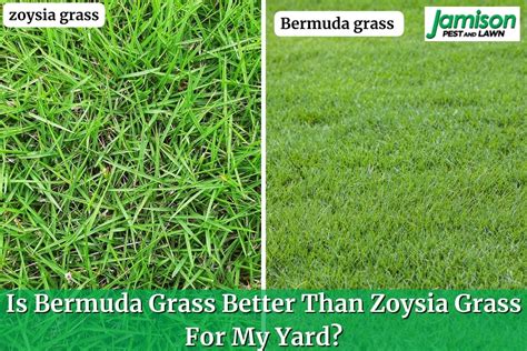 Is Bermuda Better Than Zoysia For My Yard