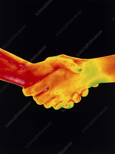 Thermogram Of A Handshake Stock Image P Science Photo Library