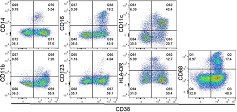 Cd38 Expression In Macrophages In Hcc Tissues Was Validated Using Flow Download Scientific