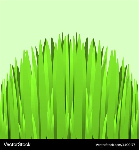 Hill green grass Royalty Free Vector Image - VectorStock