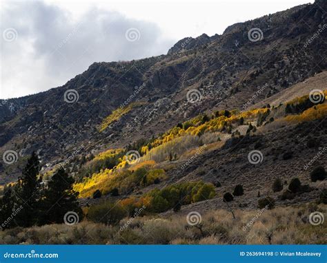 Fall Colors in the Mountains Stock Photo - Image of autumn, cliffs ...