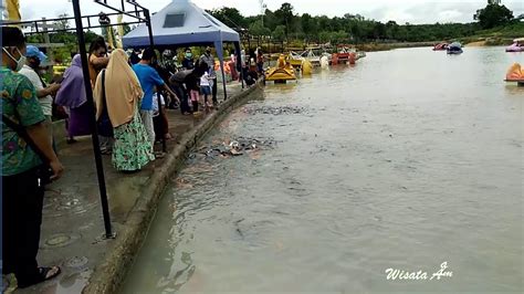 Beri Makan Ikan Patin Di Taman Refi Pekanbaru Youtube