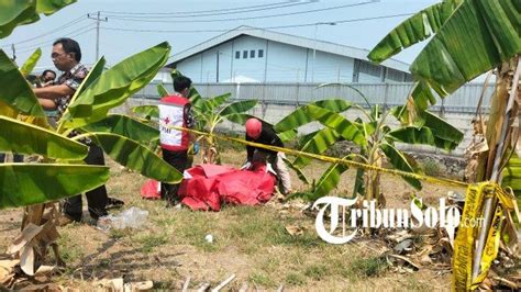 Mayat Pria Tanpa Identitas Ditemukan Dalam Posisi Sujud Di Lahan Kosong