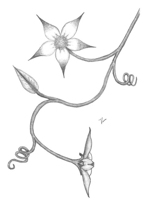 pencil flowers by Tankitha on DeviantArt