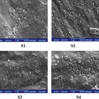 Sem Micrographs Of Ag Nanoparticle Samples Dried On Aluminum Foil