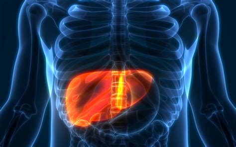 Can Liver Problems Cause Back Pain? - Scottsdale & Phoenix General Surgeon