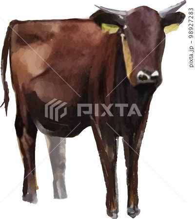 pixta