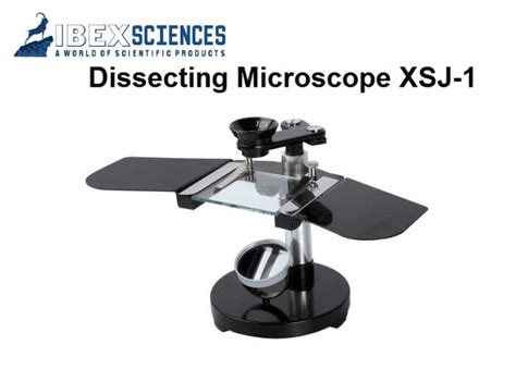 Dissecting Microscope - IBEX SCIENCES - Scientific Supplies, Lab ...