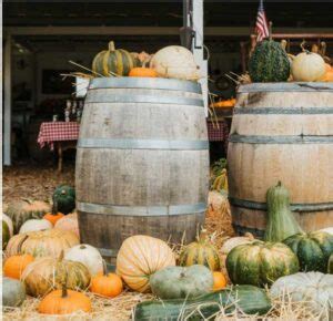 Summerset Farm & Pumpkin Patch | Visit Santa Ynez Valley