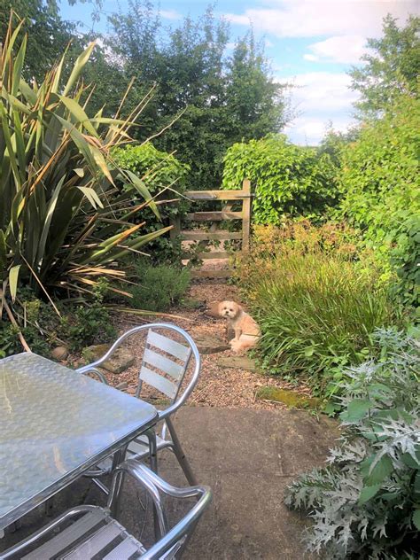 Glebe Farm Cottages - Nottinghamshire, Trent Valley - Angling Stays