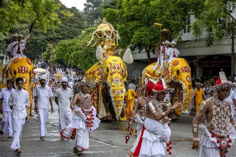 2,211 Sri Lanka Kandy Perahera Stock Photos - Free & Royalty-Free Stock ...