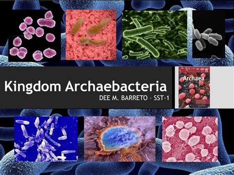 KINGDOM ARCHAEBACTERIA | PPT