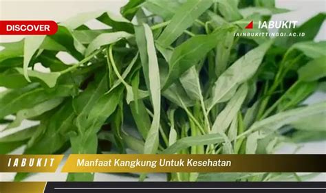 Intip Manfaat Kangkung Untuk Kesehatan Yang Bikin Kamu Penasaran