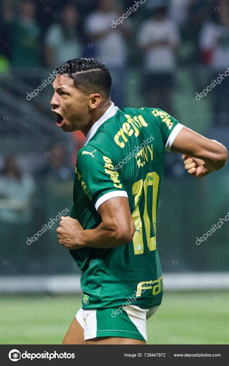 Sao Paulo Feria Brasileiro Palmeiras Junio Allianz Parque