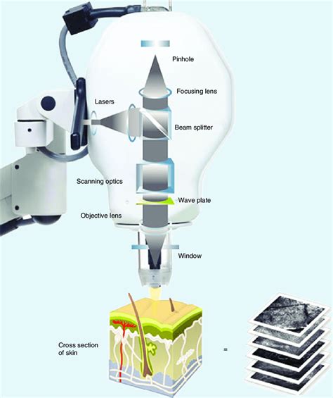 Confocal Microscopy Cartoon