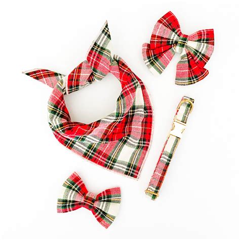 Christmas – The Southern Dog