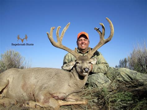 On The Prairie Kansas Mule Deer Success Photos