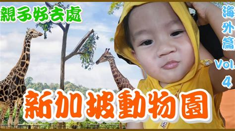 【親子好去處 海外篇 Vol4】最紅親子景點：新加坡動物園 Youtube