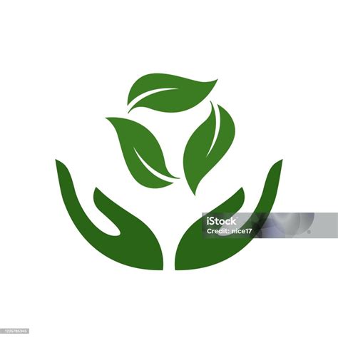 Icon Of Hands Carefully Holding Green Leaves Symbol Of Ecology