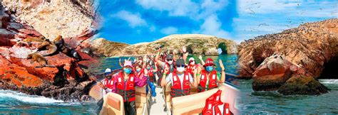 Tour a islas Ballestas desde Paracas Pingüinos de Humboldt