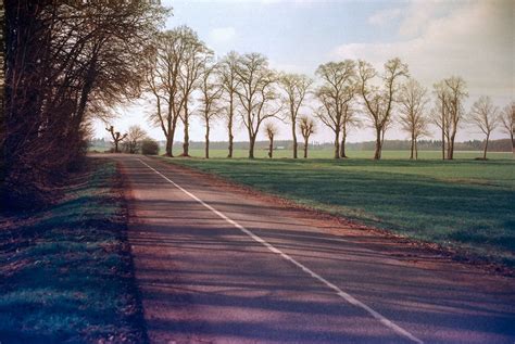 kono announces   films delight art  monolit    means