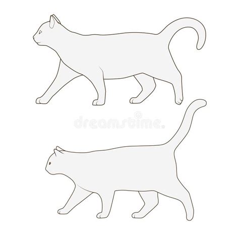 Cat Side View Drawing For this stage you do not have to be very ...