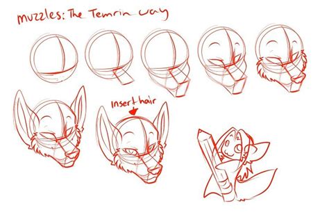 How To Draw Furry Heads Warehouse Of Ideas