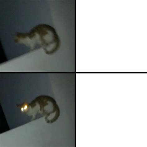 Angry cat with glowing eyes : r/MemeTemplatesOfficial