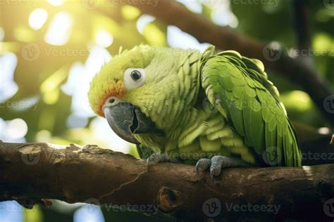 AI generated A green parrot on a branch. AI Generated 36013063 Stock ...