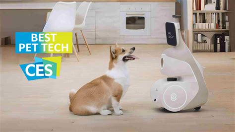 Best Pet Tech From CES 2024 Keep Your Pal Happy And Healthy