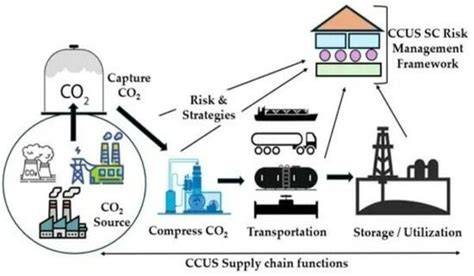 The Rationale for Distributing Carbon Storage Risk - Assignment Point