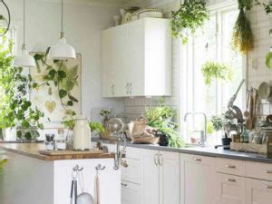 Plantas En La Cocina Ideas Para Decorar La Cocina Con Plantas Mil