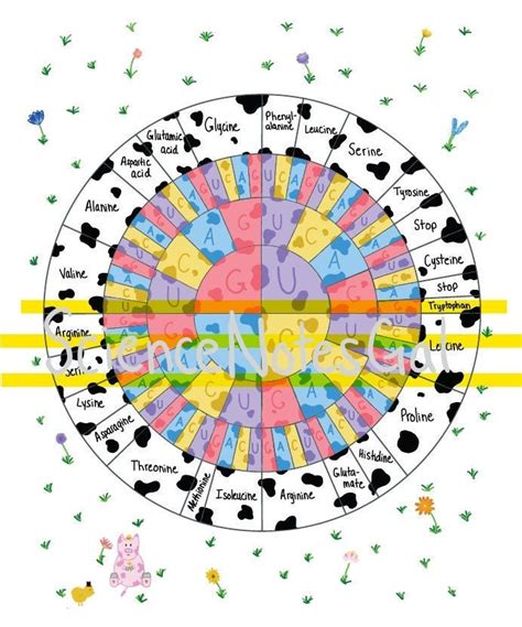 Amino Acid Codon Chart Cute Cow Print Etsy Canada