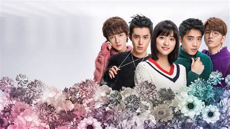 Watch Meteor Garden | Netflix Official Site